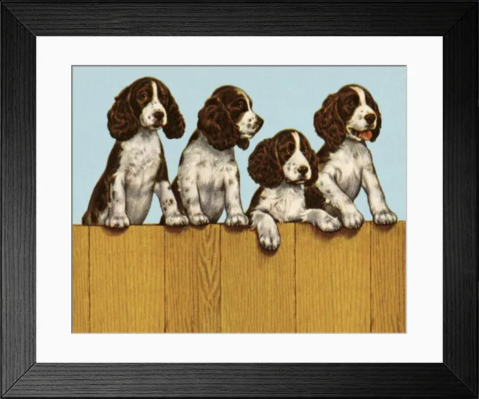 Framed Print : Four Dogs Standing on a Fence