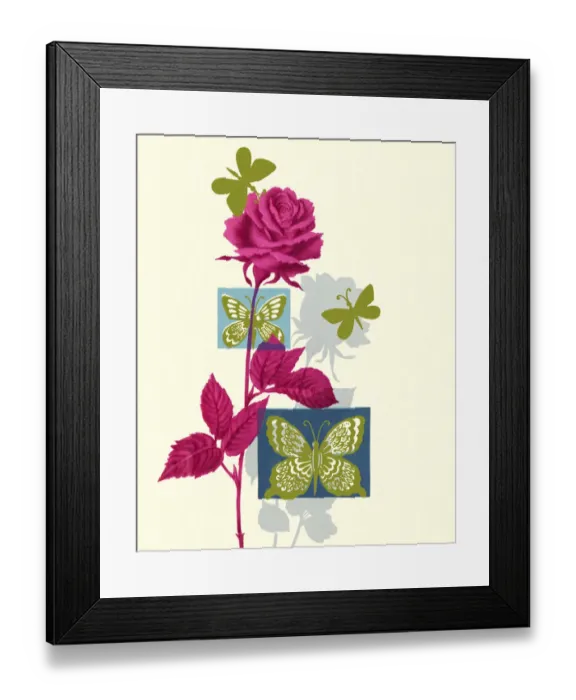 Framed Print : Butterflies and a Rose Framed Print : Butterflies and a Rose