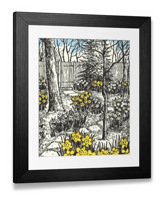Framed Print : Backyard Garden with Daffodils Framed Print : Backyard Garden with Daffodils