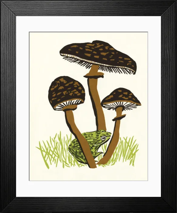 Framed Print : Three Mushrooms and a Frog Framed Print : Three Mushrooms and a Frog