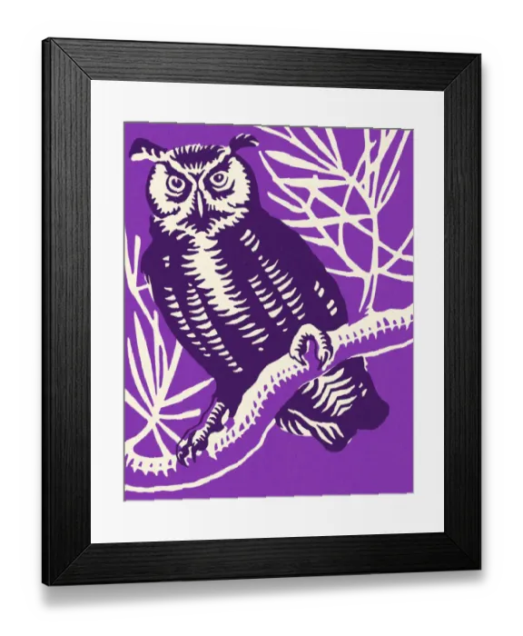 Framed Print : Owl Perched on a Branch