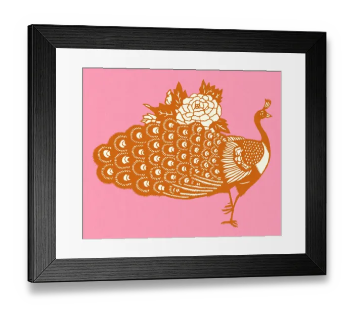 Framed Print : Orange Peacock Framed Print : Orange Peacock