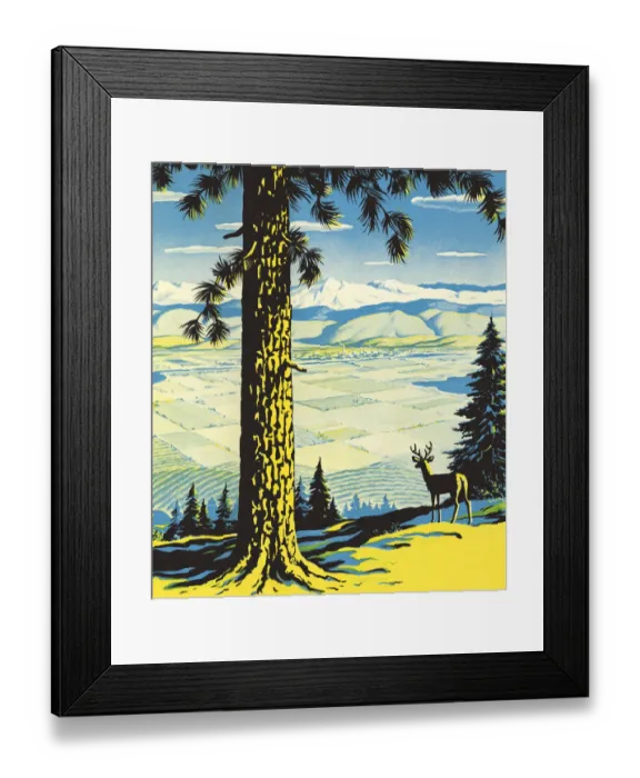 Framed Print : Wilderness Scene Framed Print : Wilderness Scene