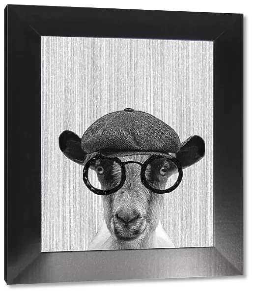 Hipster Goat Illustration With Hat And Glasses