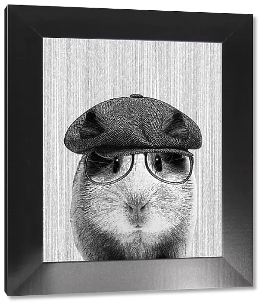 Hipster Guinea Pig Illustration With Hat And Glasses