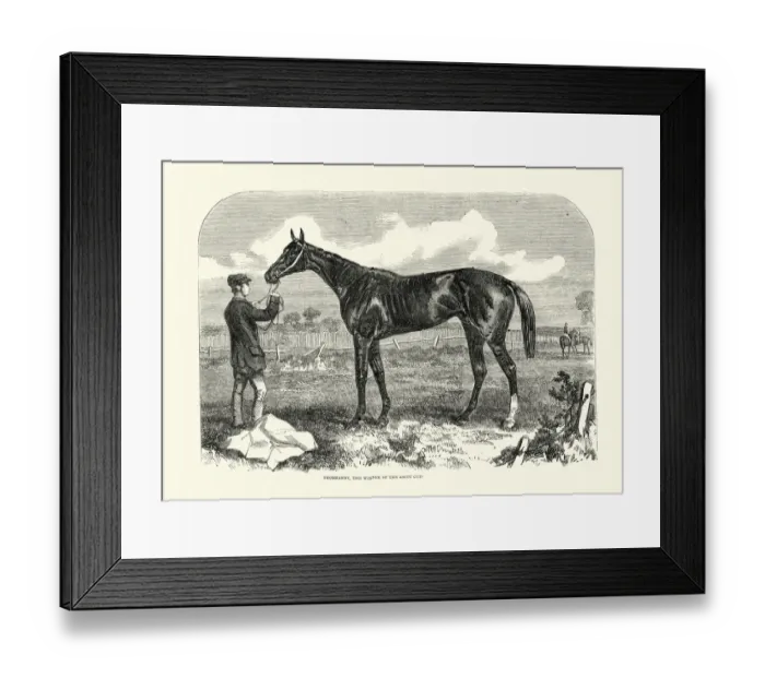 Framed Print : Thormanby, British Thoroughbred racehorse and sire, Ascot cup winner, 1861 Framed Print : Thormanby, British Thoroughbred racehorse and sire, Ascot cup winner, 1861