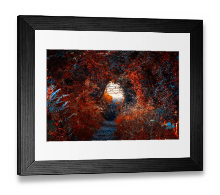 Framed Print : Footpath, Llangorse, Brecon Beacons, Wales Framed Print : Footpath, Llangorse, Brecon Beacons, Wales