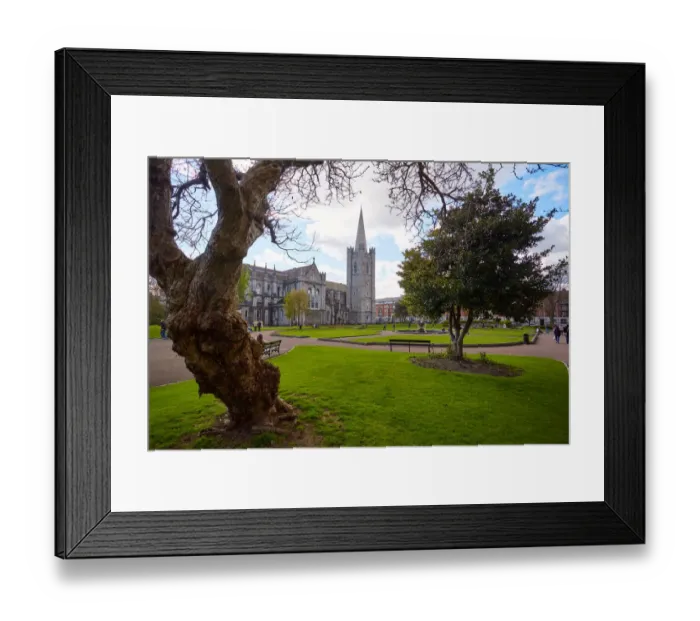Framed Print : Flowers in St. Patricks Park and St. Patricks Cathedral in Dublin City, Ireland Framed Print : Flowers in St. Patricks Park and St. Patricks Cathedral in Dublin City, Ireland