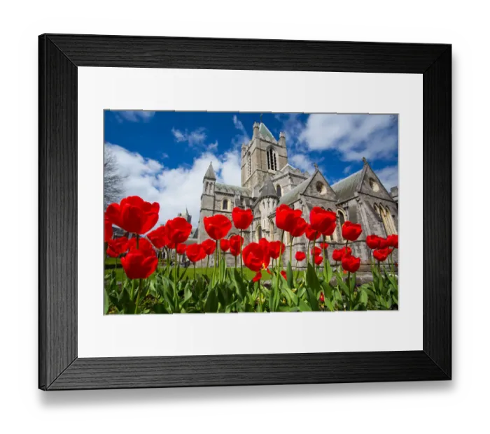 Framed Print : Christchurch Cathedral, Dublin City Framed Print : Christchurch Cathedral, Dublin City