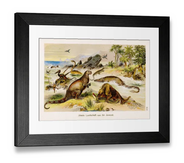 Framed Print : Landscape from the jurassic period Chromolithography 1899 Framed Print : Landscape from the jurassic period Chromolithography 1899