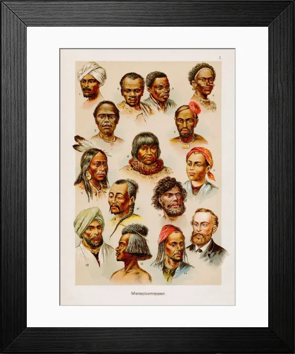 Framed Print : Human Races Chromolithography 1899