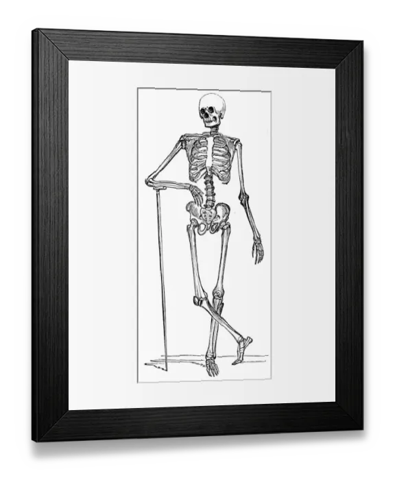Framed Print : Skeleton engraving 1893 Framed Print : Skeleton engraving 1893
