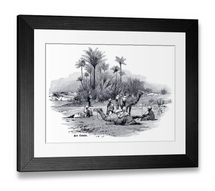 Framed Print : An oasis engraving 1896 Framed Print : An oasis engraving 1896