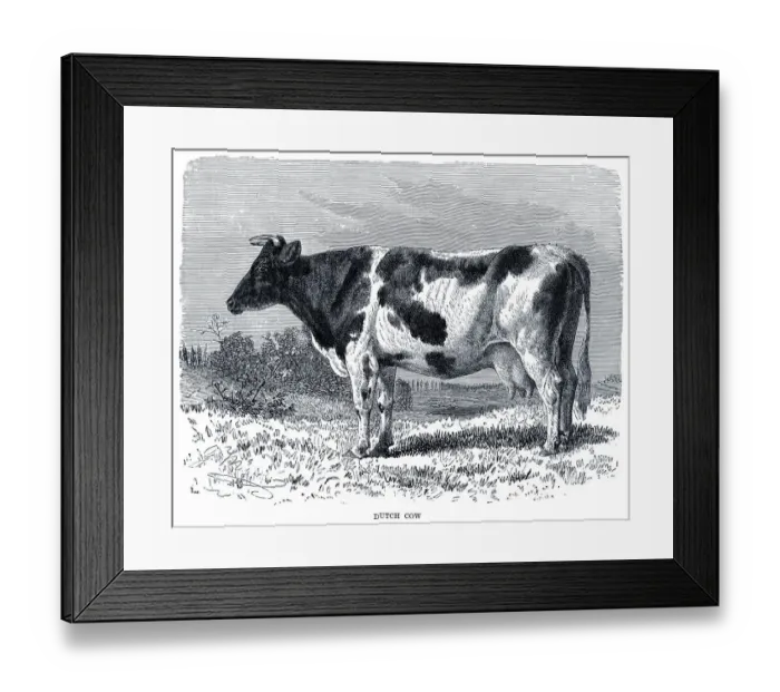 Framed Print : Dutch engraving 1896 Framed Print : Dutch engraving 1896