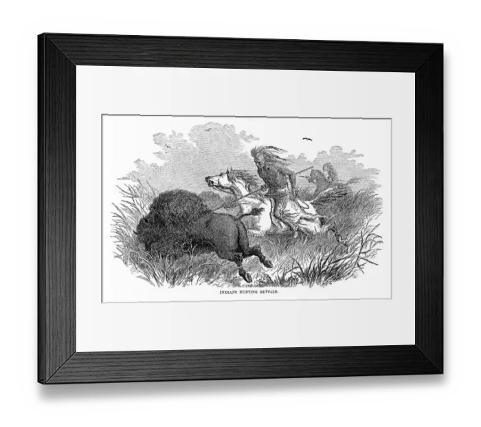 Framed Print : Indians hunting buffaloes 1867 Framed Print : Indians hunting buffaloes 1867