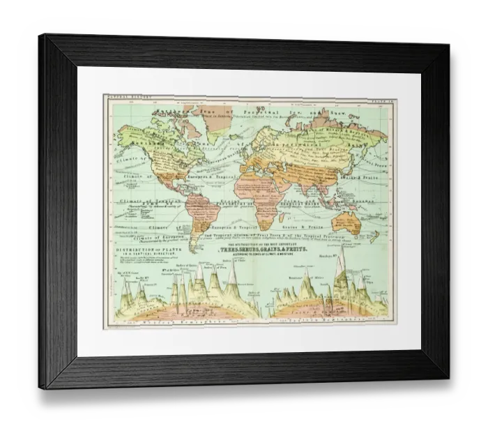 Framed Print : Agricultural Map of the world 1861 Framed Print : Agricultural Map of the world 1861