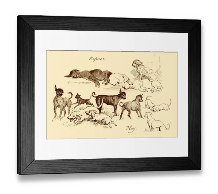 Framed Print : Dogs - active and relaxed Framed Print : Dogs - active and relaxed