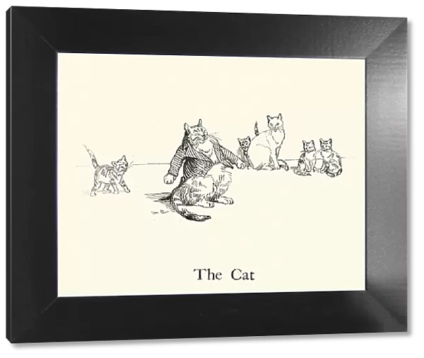 The Cat, from the Nursery Rhyme, Hey Diddle Diddle