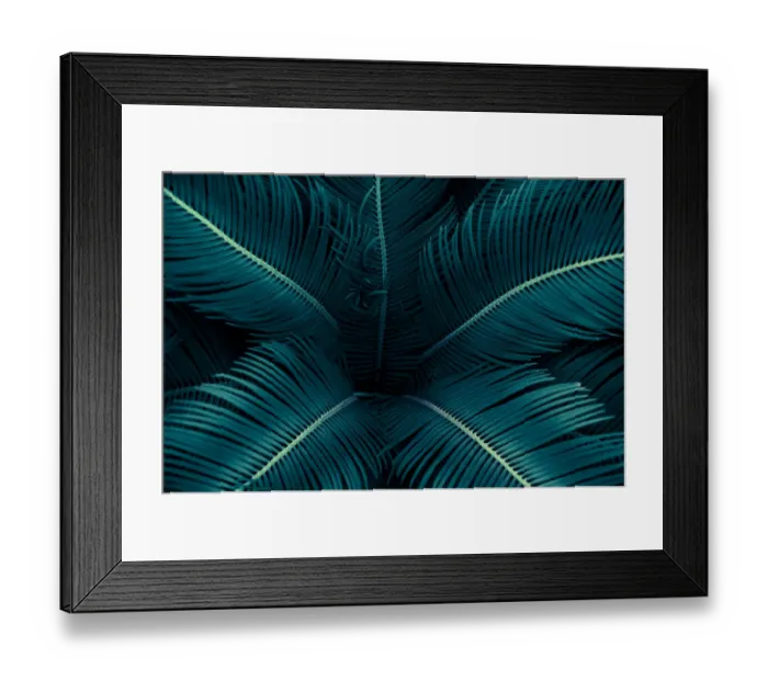 Framed Print : tropical leaves flower on dark tropical foliage nature background dark green foliage Framed Print : tropical leaves flower on dark tropical foliage nature background dark green foliage