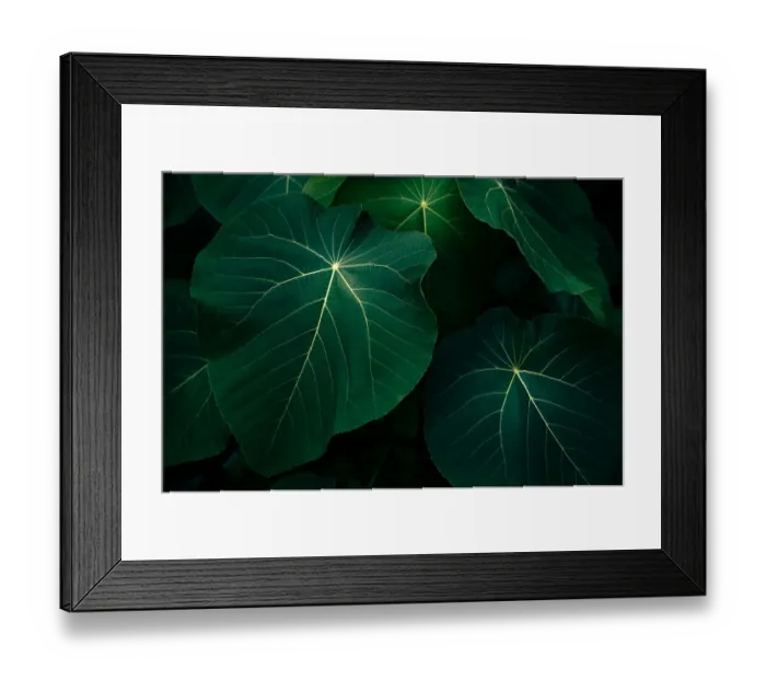 Framed Print : tropical leaves flower on dark tropical foliage nature background dark green foliage