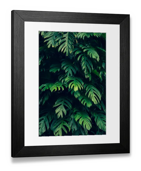 Framed Print : tropical leaves colorful flower on dark tropical foliage nature background dark green Framed Print : tropical leaves colorful flower on dark tropical foliage nature background dark green