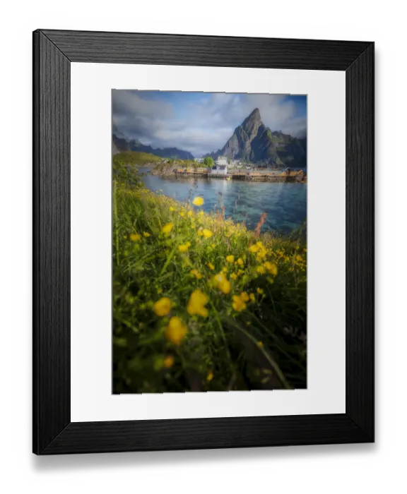 Framed Print : Reine village in the Summer, Lofoten Islands, Norway Framed Print : Reine village in the Summer, Lofoten Islands, Norway