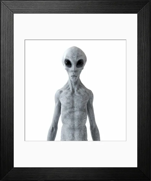 Framed Print : Illustration of a humanoid alien Framed Print : Illustration of a humanoid alien