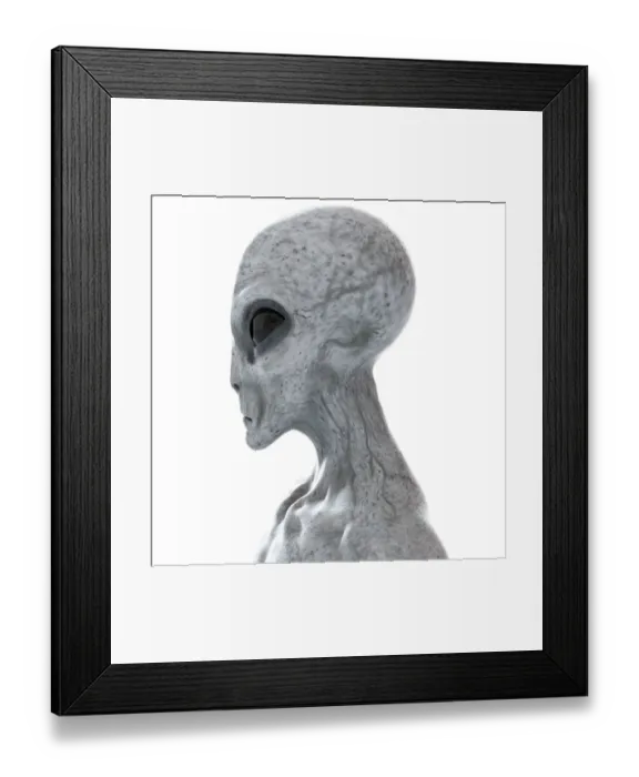 Framed Print : Illustration of a humanoid alien Framed Print : Illustration of a humanoid alien