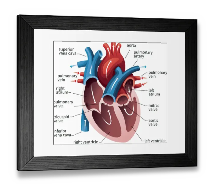 Framed Print : Art or Science, 598167278 Framed Print : Art or Science, 598167278