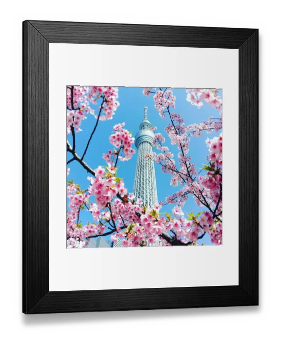 Framed Print : skytree and cherry blossom in tokyo, Japan