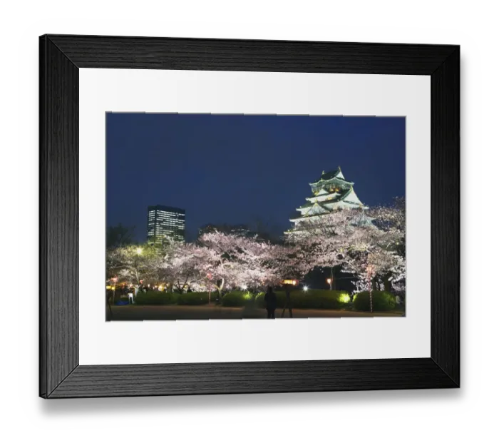 Framed Print : Osaka Castle and cherry blossoms in the night, long exposure, Osaka city Framed Print : Osaka Castle and cherry blossoms in the night, long exposure, Osaka city