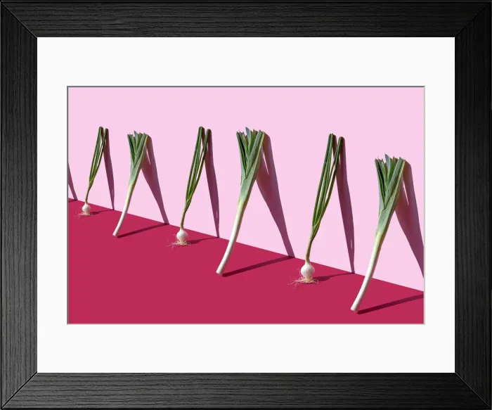 Framed Print : Green spring onions and leeks on the pink background Framed Print : Green spring onions and leeks on the pink background