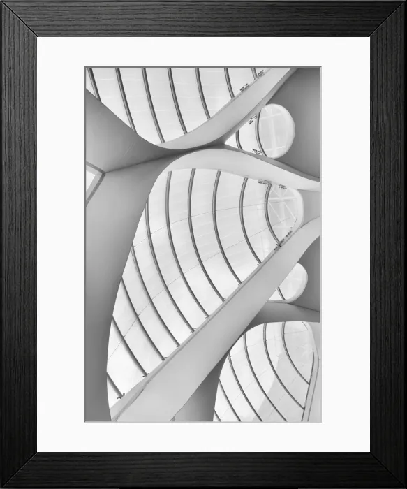 Framed Print : Study of Lines and Curves Framed Print : Study of Lines and Curves