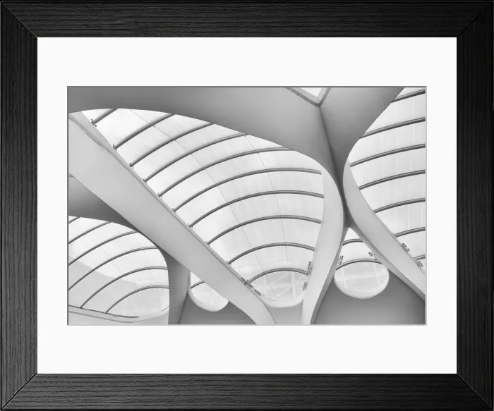 Framed Print : Study of Lines and Curves