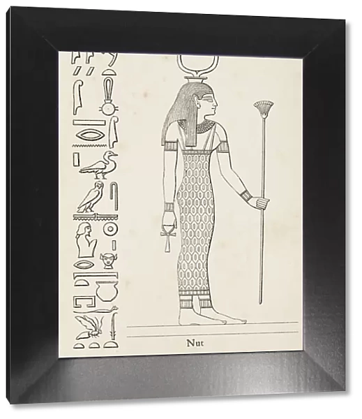 Ancient egyptian hieroglyph of Nut goddess of the sky