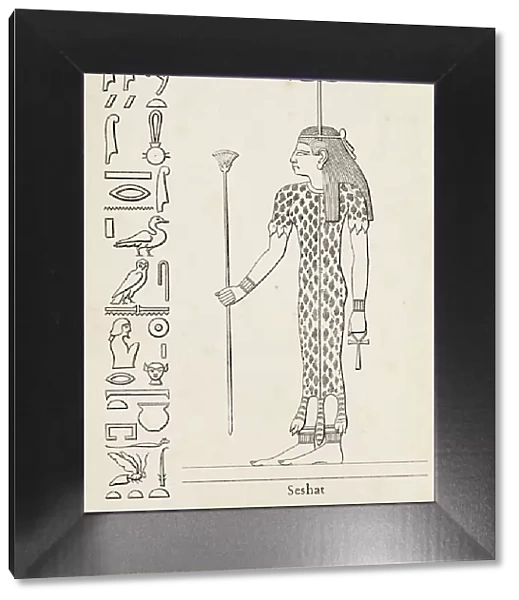 Ancient egyptian hieroglyph of Seshat goddess of architecture