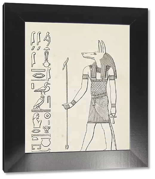Ancient egyptian hieroglyph of Anubis goddess of death