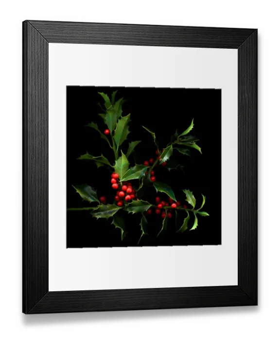 Framed Print : Red cherries on green leaves Framed Print : Red cherries on green leaves