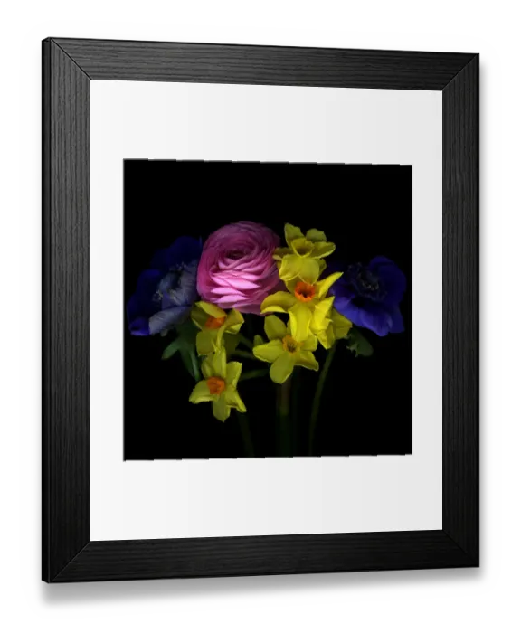 Framed Print : Different flower in spring Framed Print : Different flower in spring