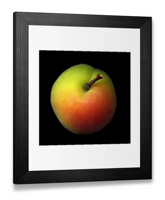 Framed Print : Fresh apricots Framed Print : Fresh apricots