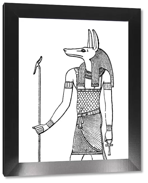 Ancient egyptian hieroglyph of Anubis god of death illustration 1896