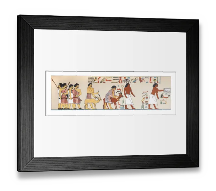 Framed Print : Hieroglyphics in egypt Framed Print : Hieroglyphics in egypt