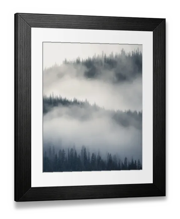 Framed Print : landscape scenic along Mount robson trail Framed Print : landscape scenic along Mount robson trail