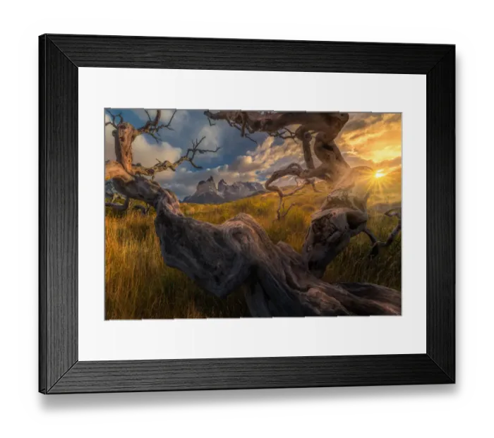 Framed Print : Cuernos del Paine looking through dead trees forest Framed Print : Cuernos del Paine looking through dead trees forest