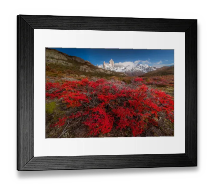 Framed Print : Autumn view of Patagonia with Mount Fitzroy background Framed Print : Autumn view of Patagonia with Mount Fitzroy background