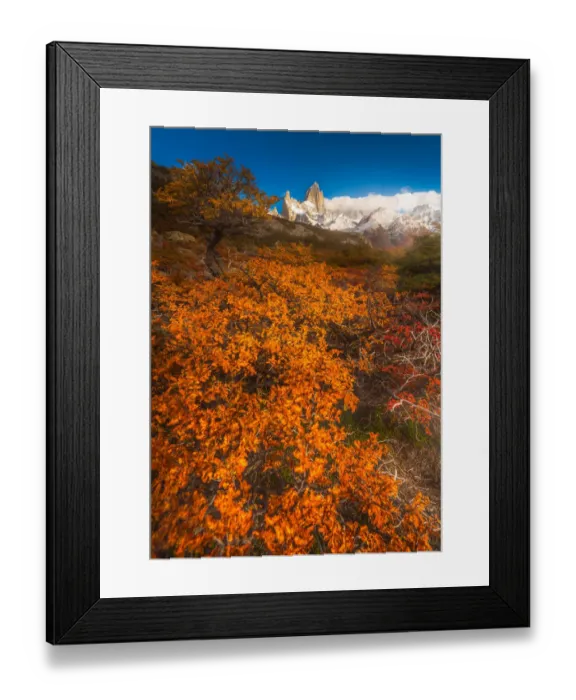 Framed Print : Autumn view of Patagonia with Mount Fitzroy background Framed Print : Autumn view of Patagonia with Mount Fitzroy background