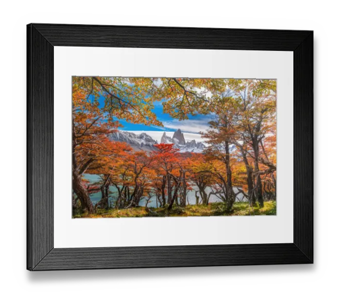 Framed Print : Autumn view at Lake Capri with Mount Fitzroy background Framed Print : Autumn view at Lake Capri with Mount Fitzroy background