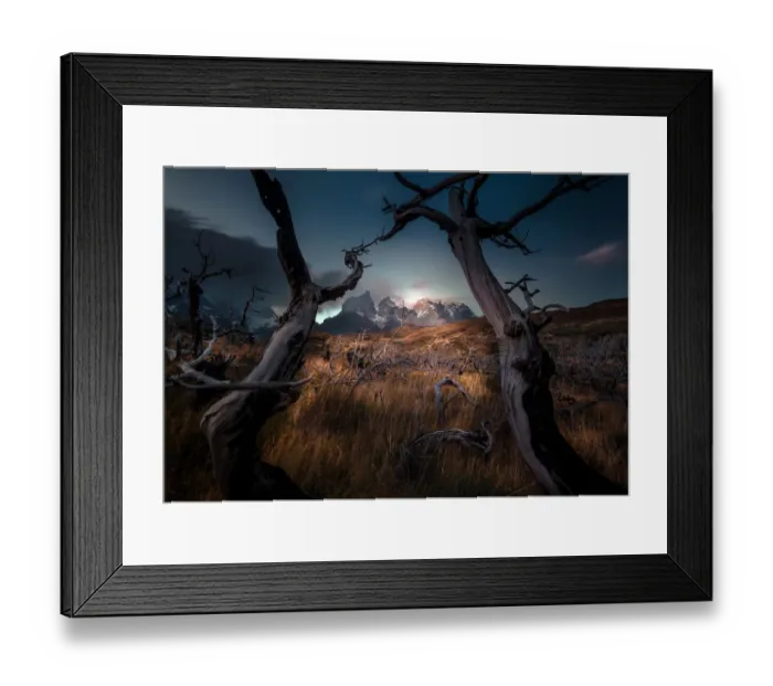 Framed Print : Cuernos del Paine looking through dead trees forest Framed Print : Cuernos del Paine looking through dead trees forest