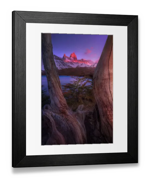 Framed Print : Morning view of Mount fitzroy from Lake Capri Framed Print : Morning view of Mount fitzroy from Lake Capri