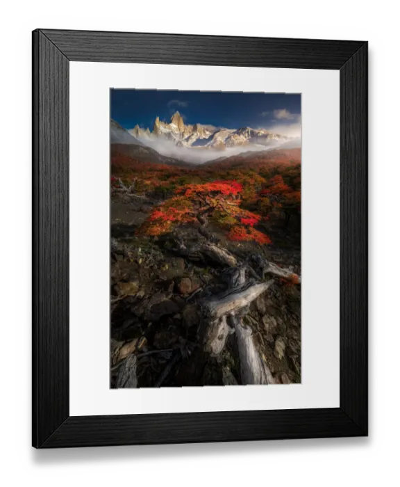 Framed Print : Autumn view of Patagonia with Mount Fitzroy background Framed Print : Autumn view of Patagonia with Mount Fitzroy background